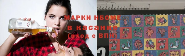ешки Аркадак